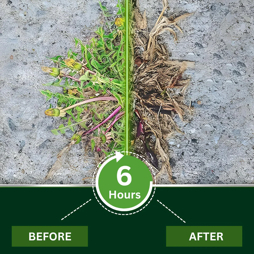 Nestovie® 2-in-1 Professional Weed Killer