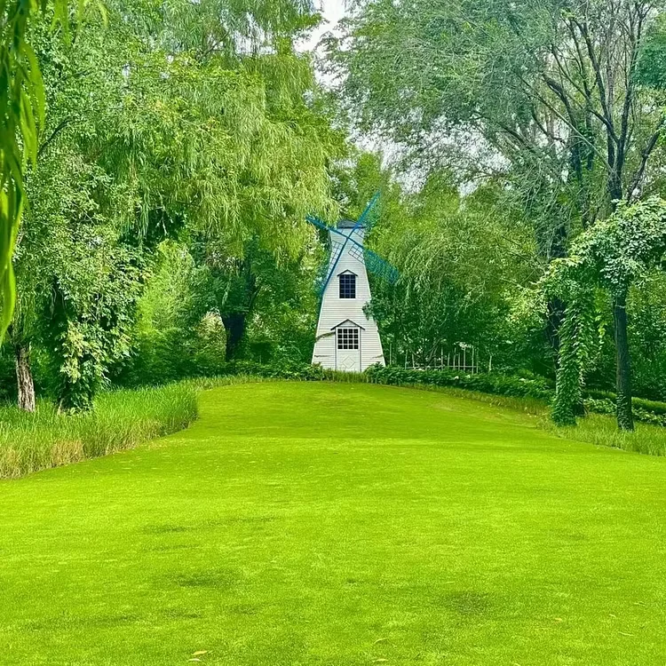 Grow A Perfect Green Lawn All Year With Our Premium Dwarf Grass Seed