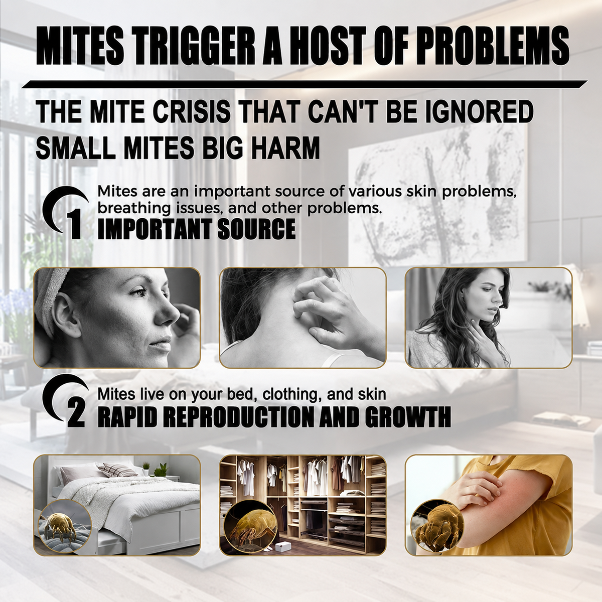 Natural Mite Control Sachet（Quantity- PCS / bag） Regular price$29.98 Sale price$19.99 33.32% OFF