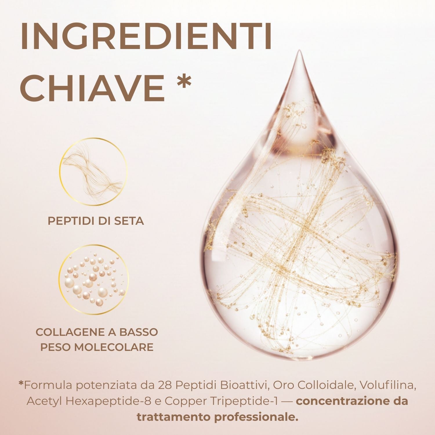 Ingredienti siero antirughe BioChroma peptidi di seta e collagene a basso peso molecolare 28 peptidi bioattivi

