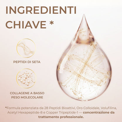 Ingredienti siero antirughe BioChroma peptidi di seta e collagene a basso peso molecolare 28 peptidi bioattivi

